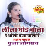 Lila Ghoda Wala Re Baba