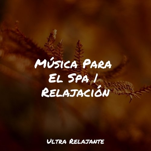 Música Para El Spa | Relajación