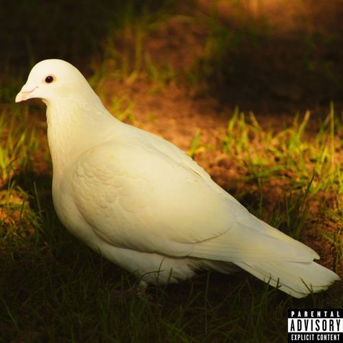 CXCXTTX cover art