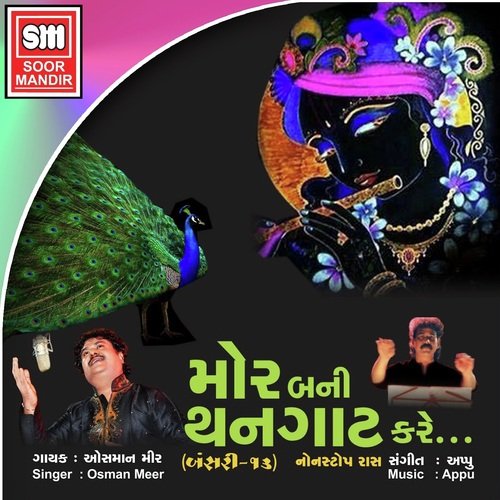 Mor Bani Thanghat Kare, Vol. 13 (Non Stop Raas)