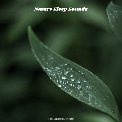 Rain Sounds To Fall Asleep To