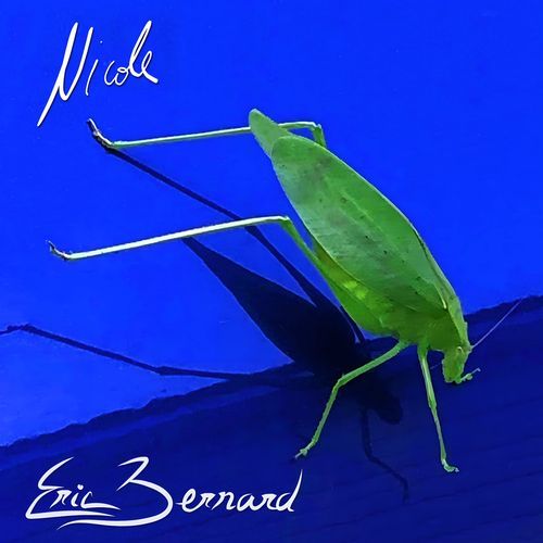 Nicole cover art