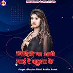 Ninadiyo Na Aave Mai Re Babuaa Ke