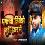 Pagalwa Jiyecho Bura Haal Me