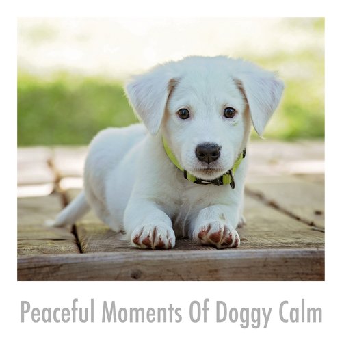 Profound Pet Soothing Stress Buster cover art