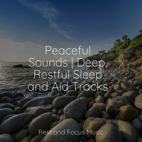 Peaceful Sounds | Deep, Restful Sleep and Aid Tracks