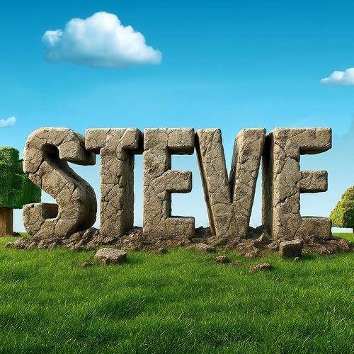 STEVE cover art