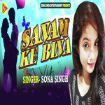 Sanam Ke Bina