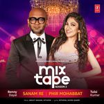 Sanam Re-Phir Mohabbat (From &quot;T-Series Mixtape Season 2&quot;)