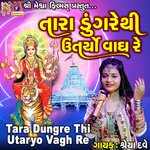 Tara Dungre Thi Utaryo Vagh Re