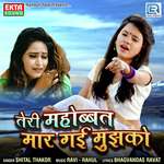 Teri Mahobbat Maar Gai Mujhko