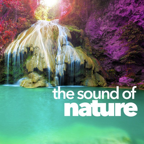 The Sound of Nature