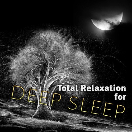 Total Relaxation for Deep Sleep – Yoga Music, Chakra Healing, Spirituality, Morning Prayer, Hatha Yoga, Mantras, Relaxation, Pranayama, Sleep Meditation, Massage & Wellness