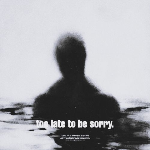 too late to be sorry. (Ultra Slowed + Reverb)_poster_image