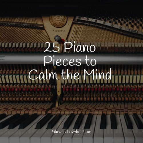 25 Piano Pieces to Calm the Mind