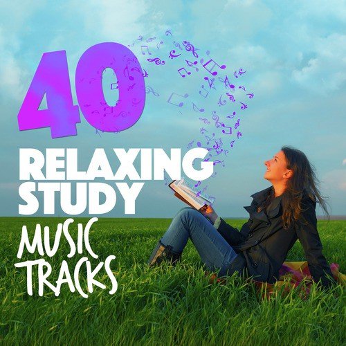 40 Relaxing Study Music Tracks