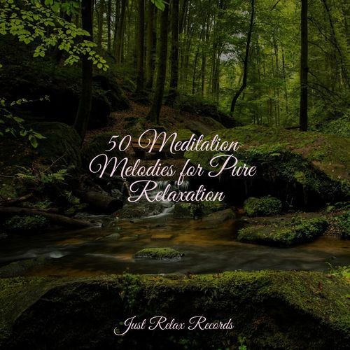 50 Meditation Melodies for Pure Relaxation