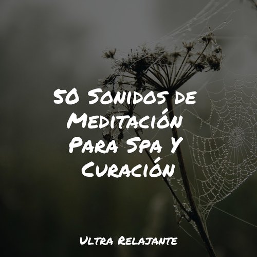 50 Sonidos de Meditación Para Spa Y Curación