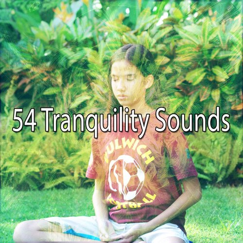 54 Tranquility Sounds