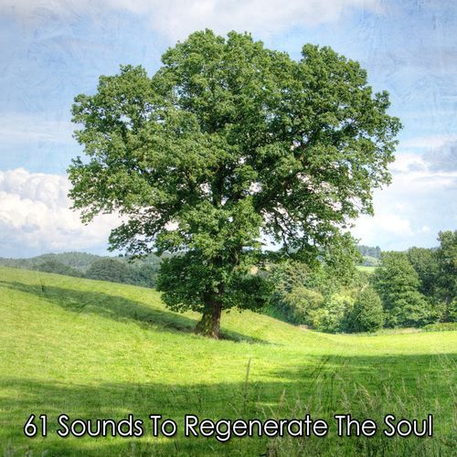 61 Sounds To Regenerate The Soul_poster_image