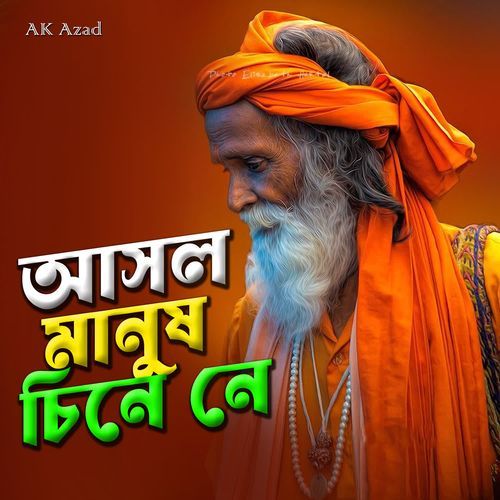 ASHOL MANUSH SINE NE