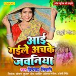 Aai Gaile Achake Jawaniya