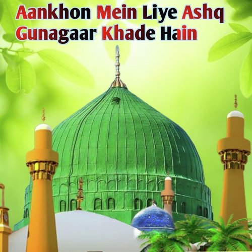 Aankhon Mein Liye Ashq Gunagaar Khade Hain