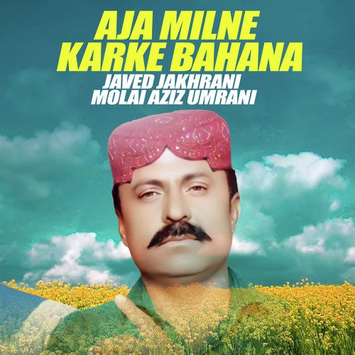 Aja Milne Karke Bahana