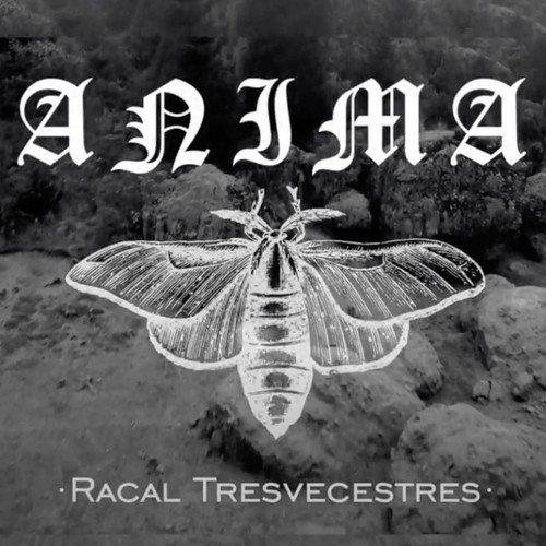 Anima cover art