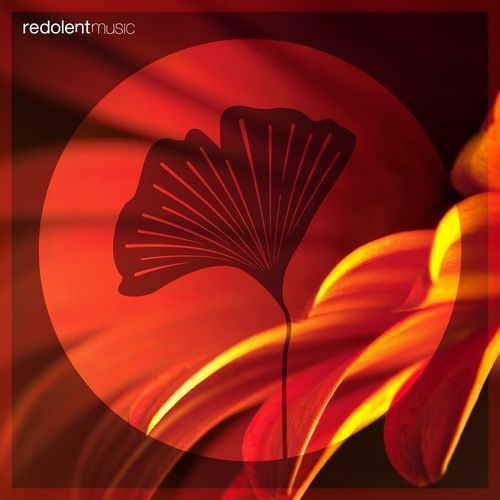 Aura (DJ CHUS Remix) cover art