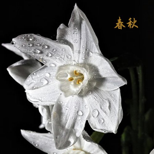 春秋 cover art