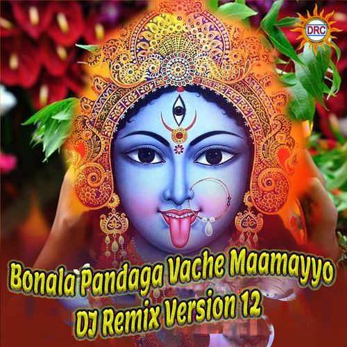 Bonala Pandaga Vache Maamayyo (DJ Remix Version 12)