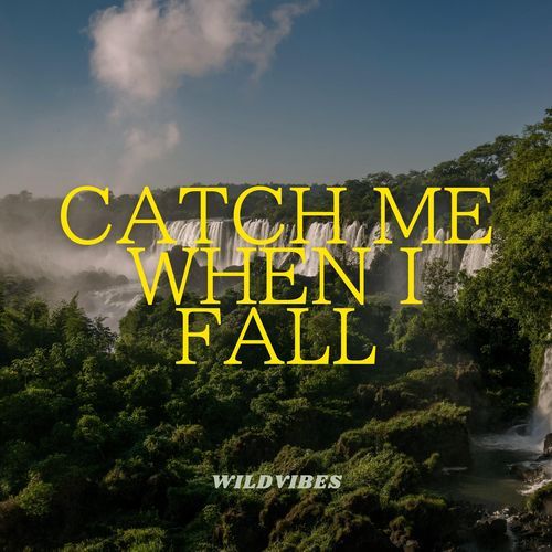 Catch me when I fall