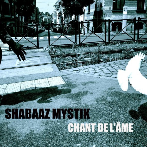 Afro Mystik cover art