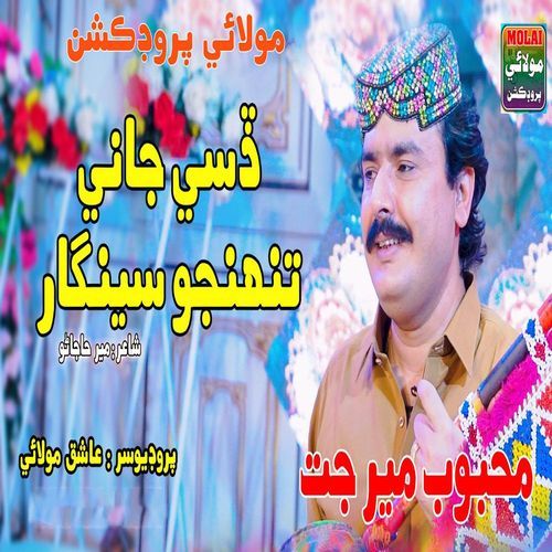 Desi Tuhnjo Jani Singhar