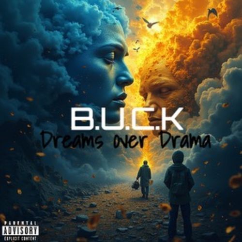 DOLO cover art