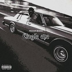 Eagle Eye-GyQeAg5YZWQ