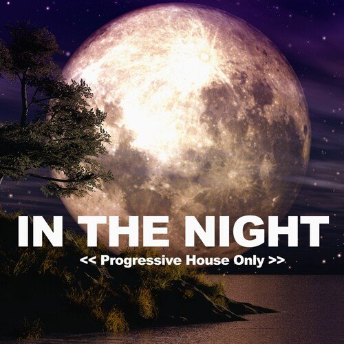 Late Night Heart (Asteroid Mix) cover art