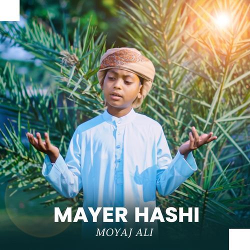 Mayer Hashi