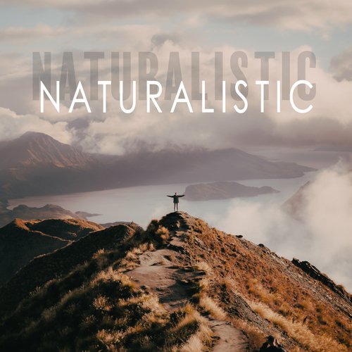 Naturalistic: Soothing Meditation Ambient Music with Nature Sounds