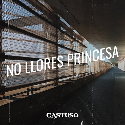 No Llores Princesa_poster_image