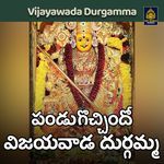 Pandugocchindho vijayawada durgamma artwork