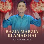 Razia Marzia Ki Amad Hai