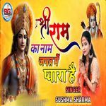 Shri Ram Ka Nam Jagat Me Pyara Hai
