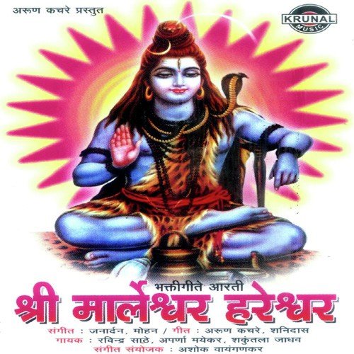 Om Jay Shiv Sambho Hare (Aarti)