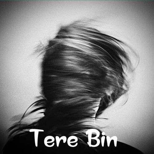 Tere Bin