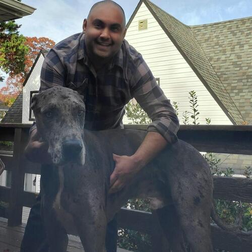 The Great Dane cover art