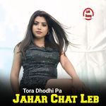 Tora Dhodhi Pa Jahar Chat Leb