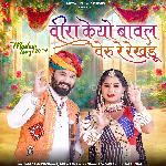 Veera Keyo Bawal Veru Re Rekhdu (Mashup Song 2024)