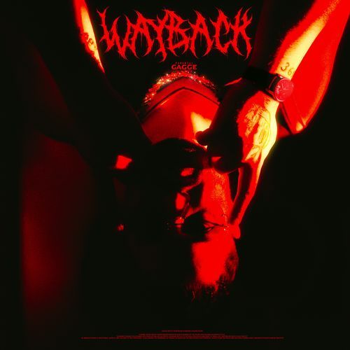 WAYBACK